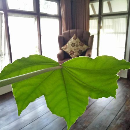 Rumah Pakankamih Bukittinggi Εξωτερικό φωτογραφία