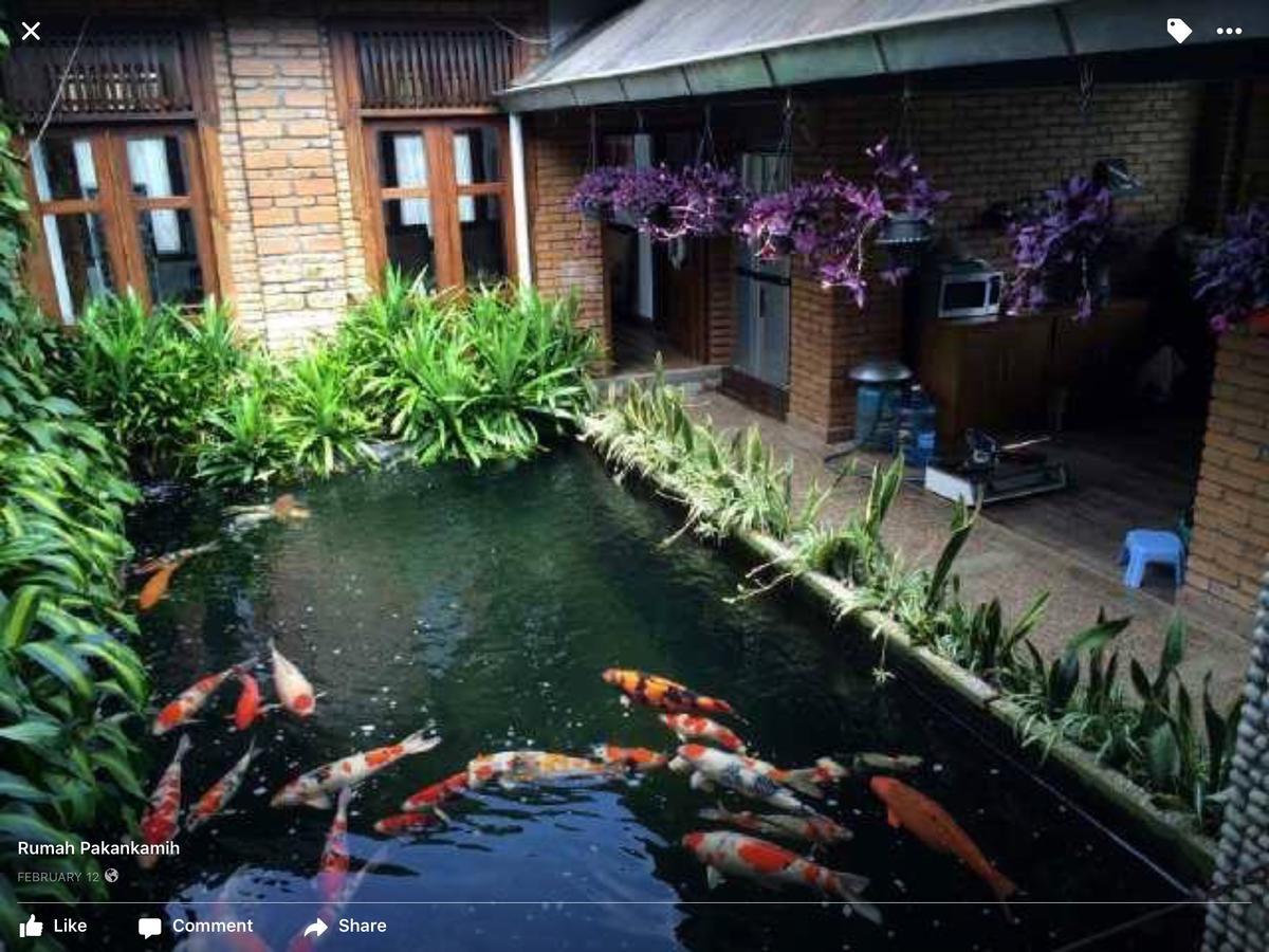 Rumah Pakankamih Bukittinggi Εξωτερικό φωτογραφία