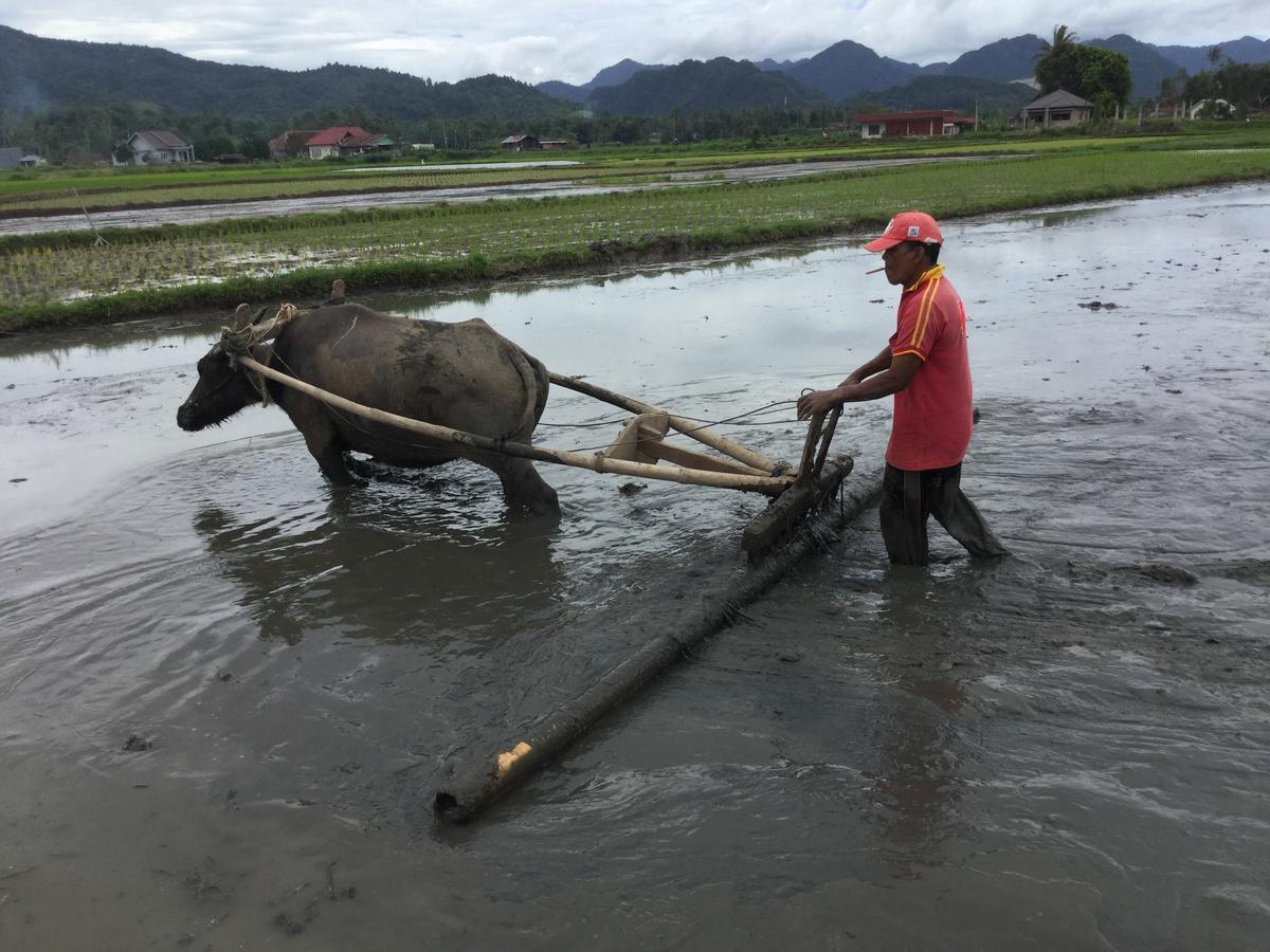 Rumah Pakankamih Bukittinggi Εξωτερικό φωτογραφία
